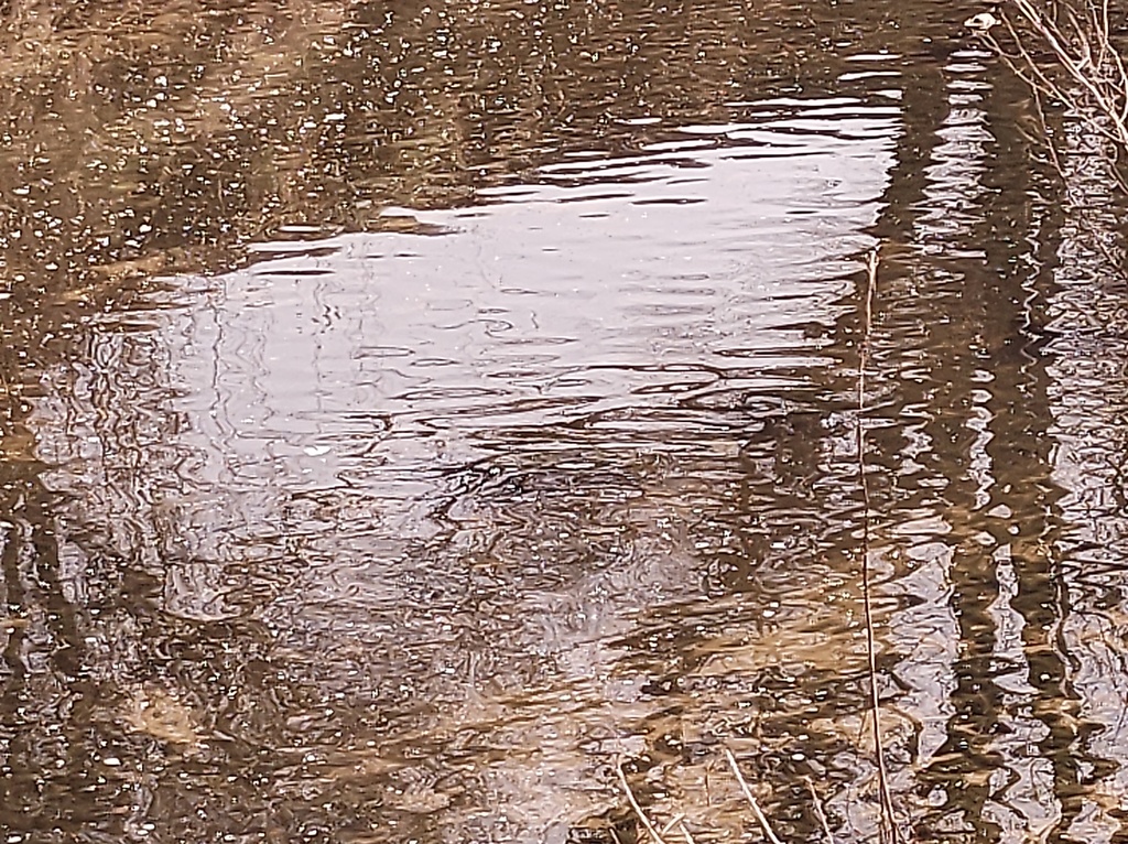 No s'ha trobat l'arxiu